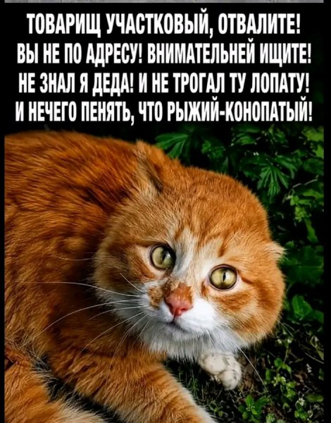 file_103210944