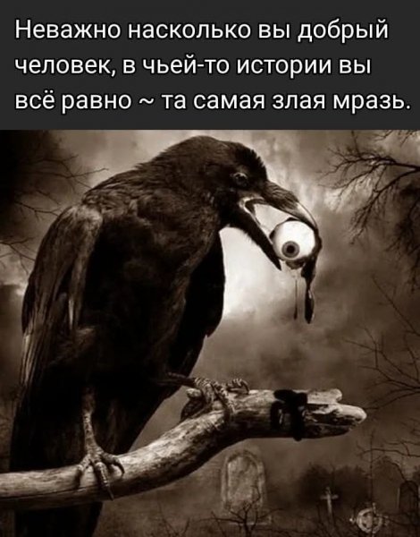 FB IMG 1758894605298