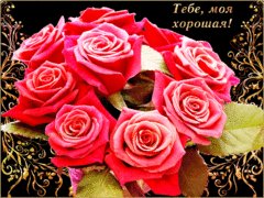 А9.c823f96c6434d0516a82f3b04117f8a8