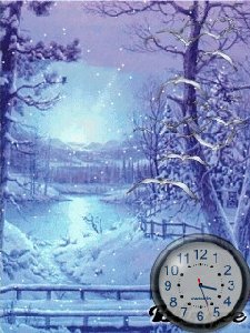 Winter birds