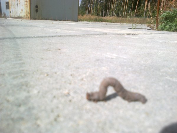 file_74754739