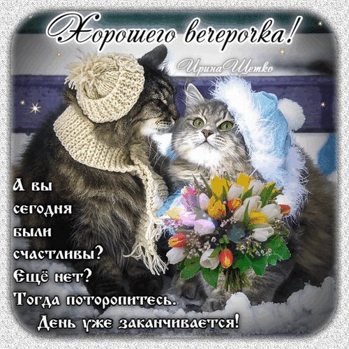 Анимированная открытка бехеровка а вы