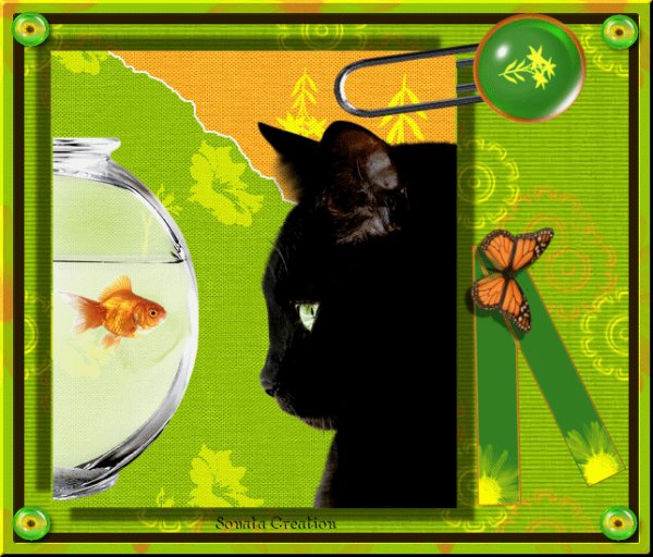 Золотая рыбка