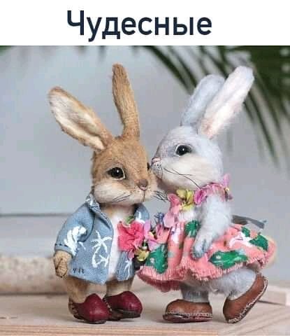 FB IMG 16235240008725216 024800
