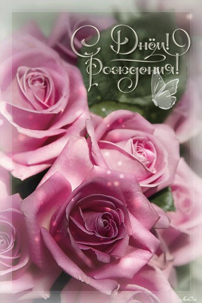 bcf1b1918f08917a56c15d8bb39b