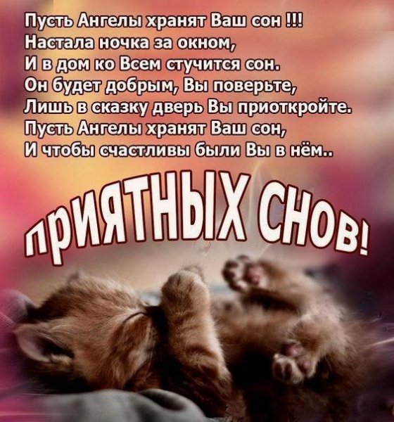 IMG 20181210 705236