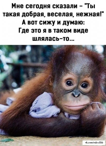 Dwu1ok6s9L0