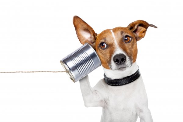 Shutterstock 106363526