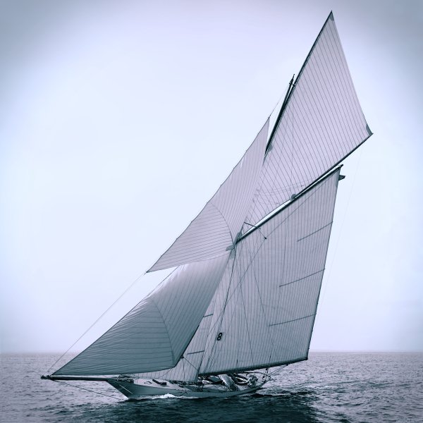 IMG viter59 Gloriana