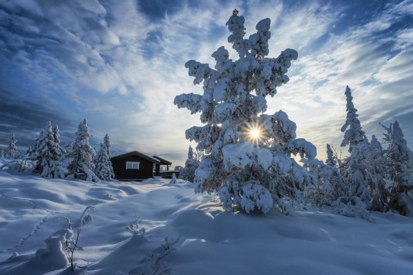 Norvegiia-priroda-peizazh-zima-sneg-derevia-eli-doma-solntse