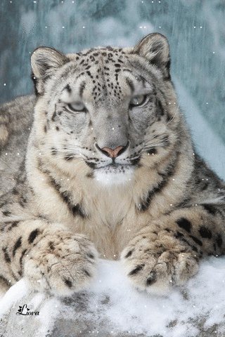 file_69394215