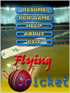 Flying Cricket 320x240