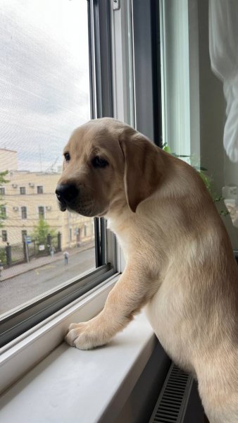 P1UG8WTHJKBCDEYHCCFH49