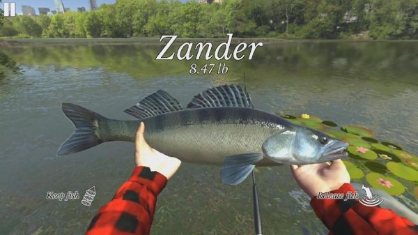 Ultimate Fishing Simulator v.1.0 [Мод: много дене