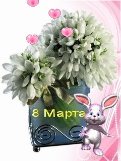 file_5691376