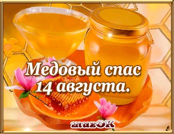 file_91217945