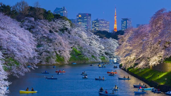 Токио ров Токийская башня Tokyo Moat UHD обои 4К