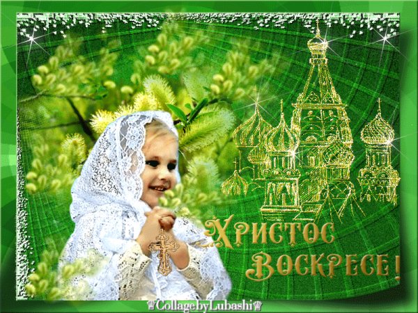 file_73017362