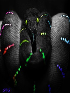 file_9302471