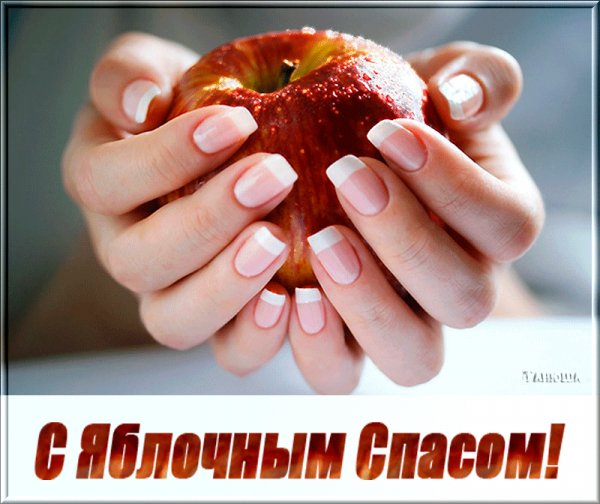 file_64540268
