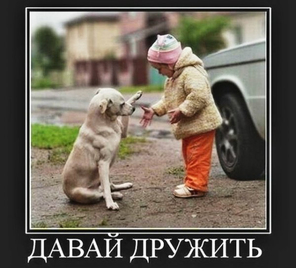file_101946863
