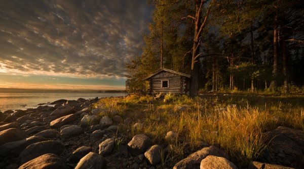 file_96301811