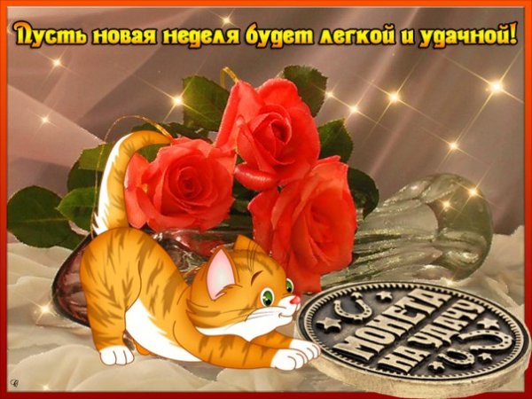 1y2uPjwDiGU