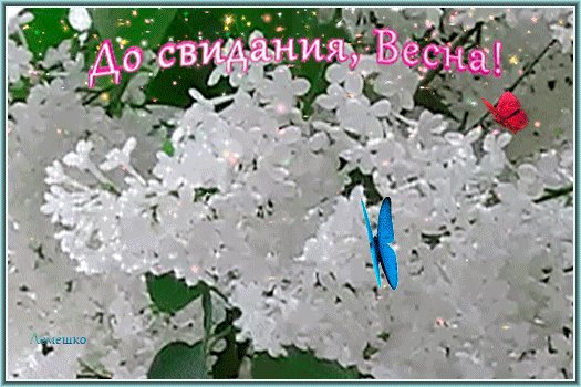 Анимированная открытка до свидания весна
