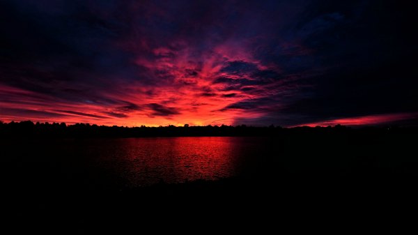 file_99297706