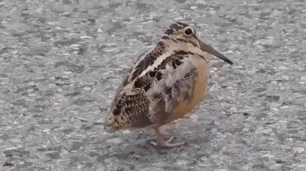 IMG 20161020 210846 41