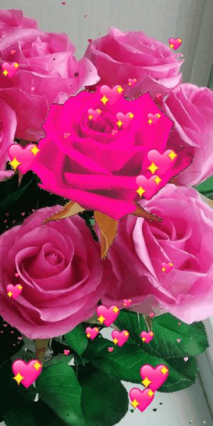 file_93055305