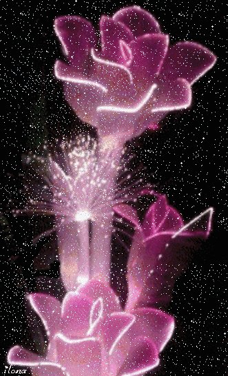 16-50-14-adfa7087b7b8cc67c0414520cac9fbb5