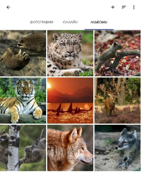 A+ Gallery - Photos &amp; Videos 2.2.22.0 MOD:Premium