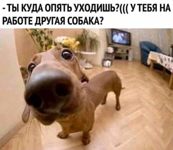 x500