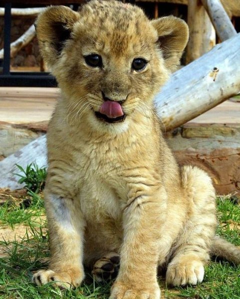 1UMIwbsRSVI