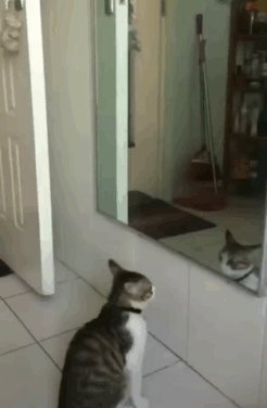 Театр Куклачева на удаленке)