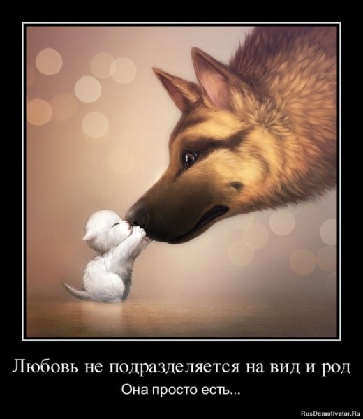 Любовь...