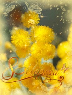 file_92899779
