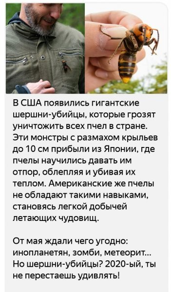 Шершни