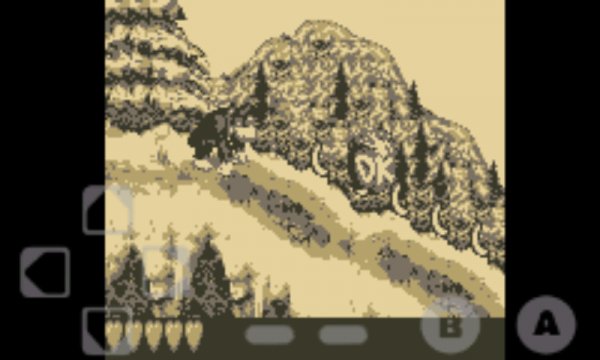 donkey kong land