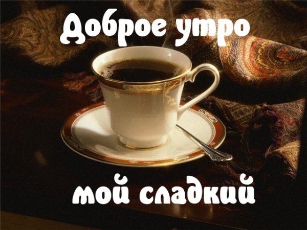 IMG 20181222 966292