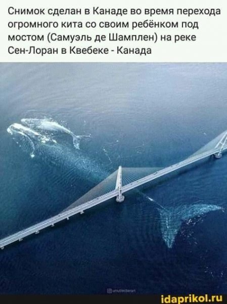 fbcd5c3b55a86008ce702a9b5432