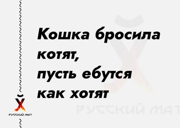 Кошка бросила котят, пусть ебутся как хотят