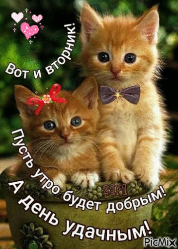 file_93023752