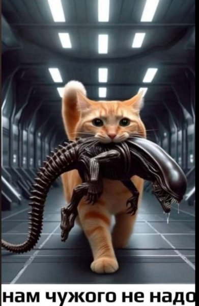 FB IMG 1776781691771