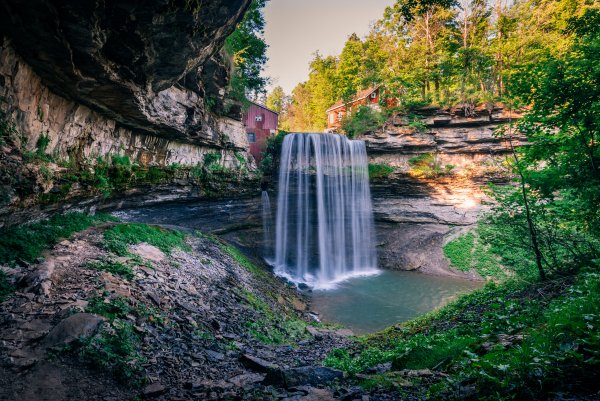 Kanada-ontario-les-derevya-3109