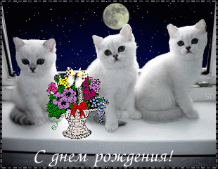 А.с д.р4