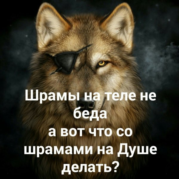 Шрамы