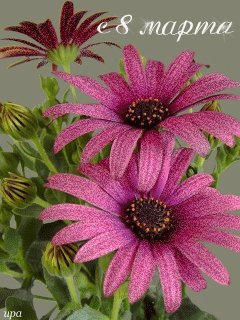 file_14224272