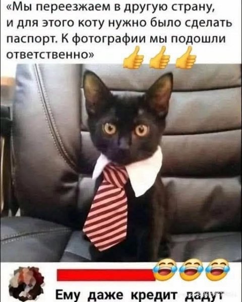 file_103065400